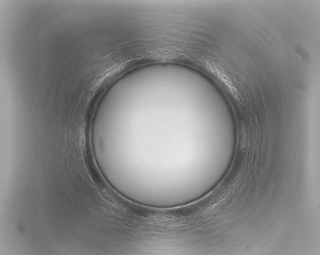 X0000116780681200912171310