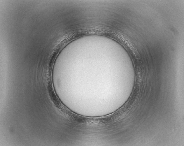 X0000116780690200912171310