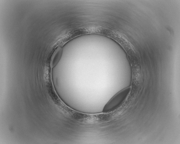 X0000116780696200912171310