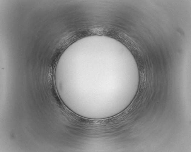 X0000116780702200912171310