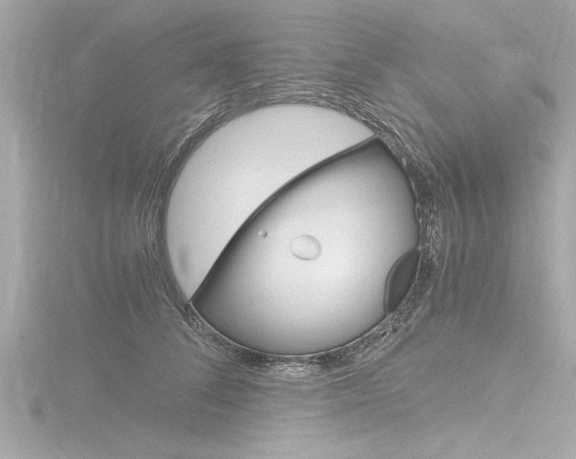 X0000116780708200912171310