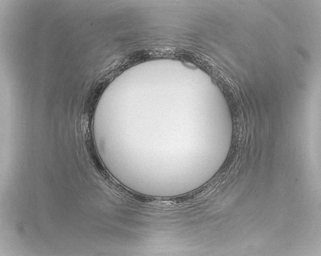 X0000116780711200912171310