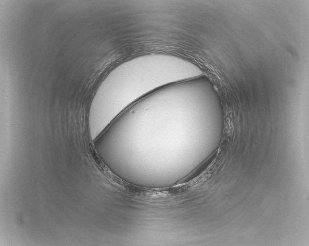 X0000116780716200912171310