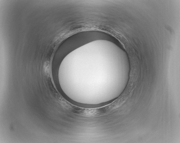 X0000116780720200912171310