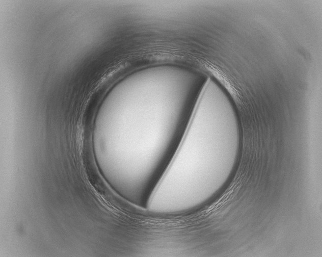X0000116780722200912171309