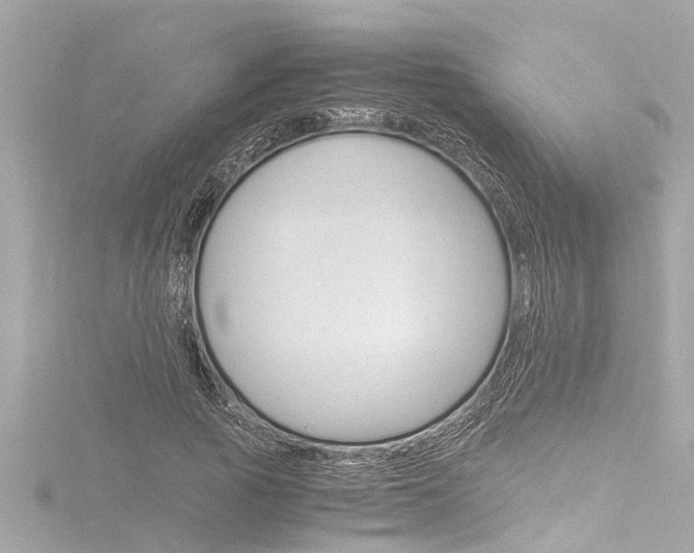 X0000116780737200912171310