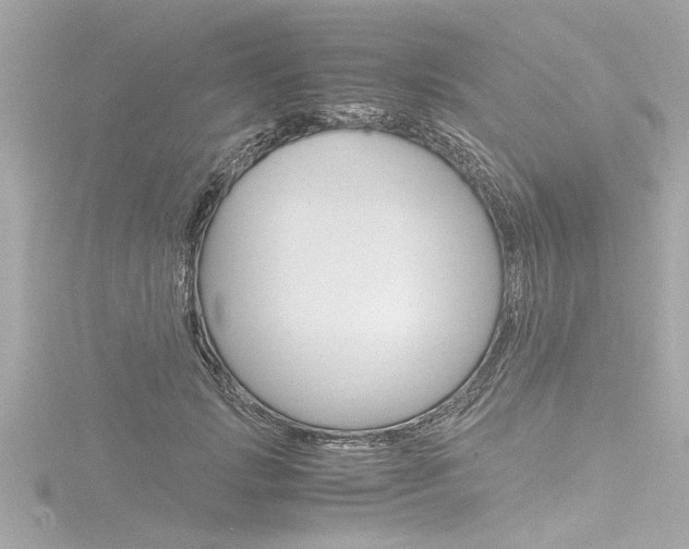 X0000116780749200912171310