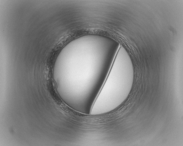 X0000116780750200912171310