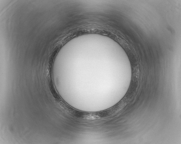 X0000116780754200912171310