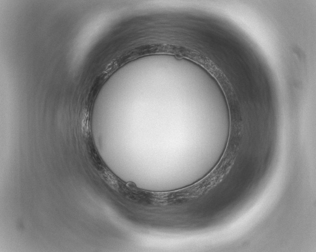 X0000116780766200912171310