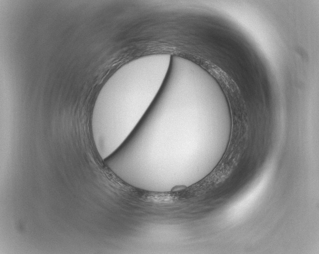X0000116780767200912171310