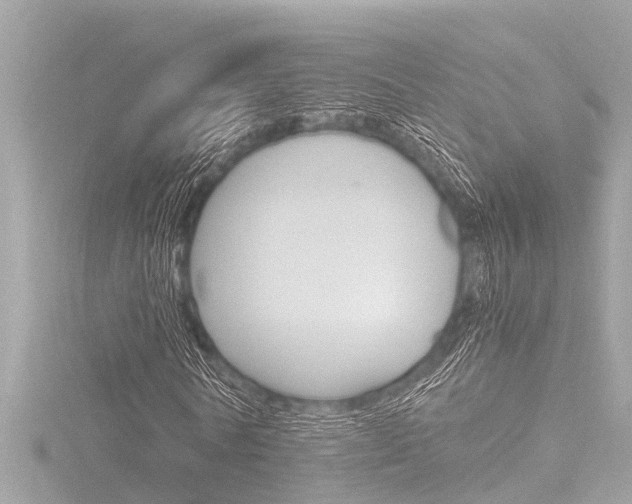 X0000116780770200912171309