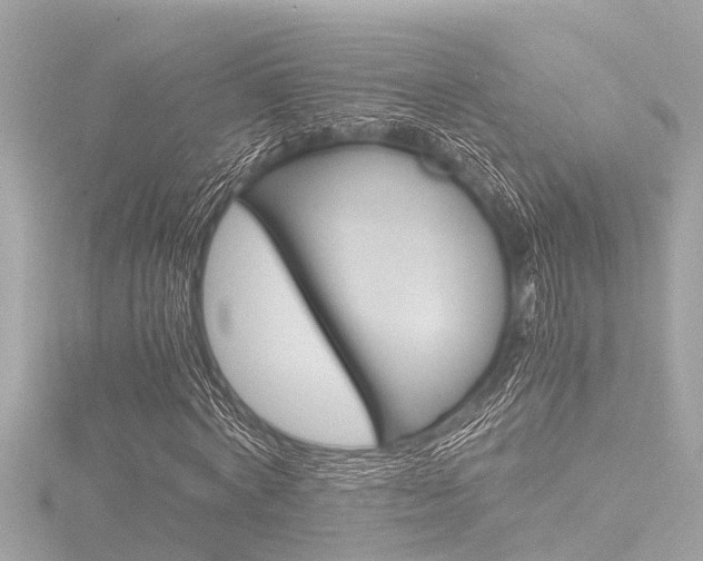 X0000116780772200912171309