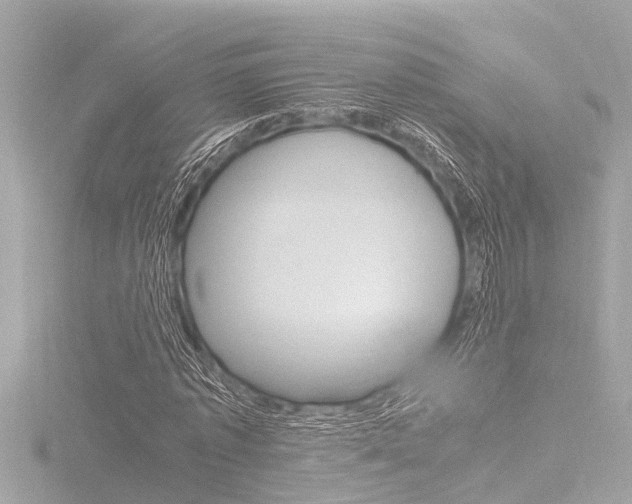 X0000116780773200912171309