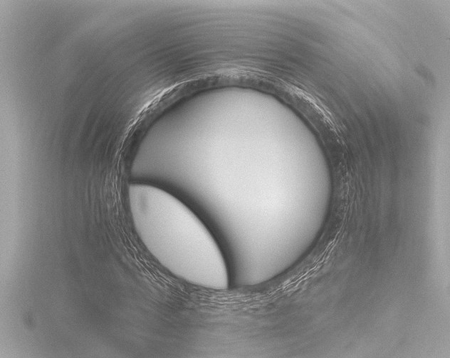 X0000116780776200912171309