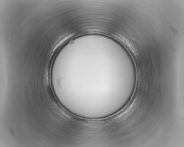 X0000116780782200912171309