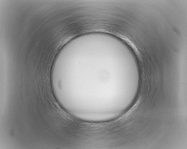 X0000116780785200912171309