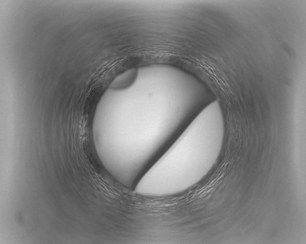 X0000116780818200912171308