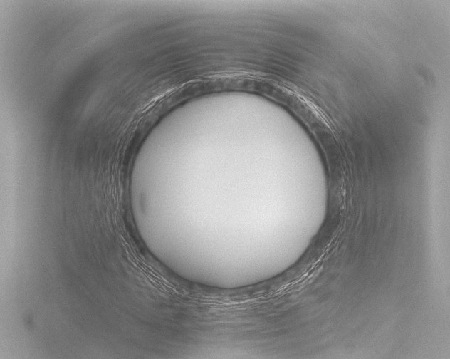 X0000116780821200912171308