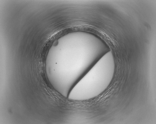 X0000116780822200912171308