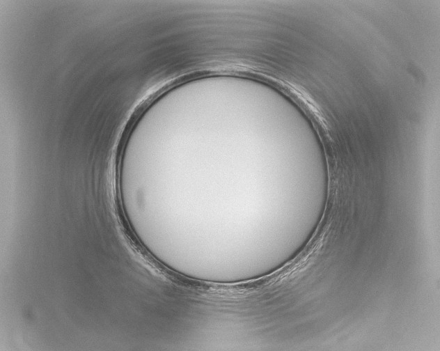 X0000116780840200912171308