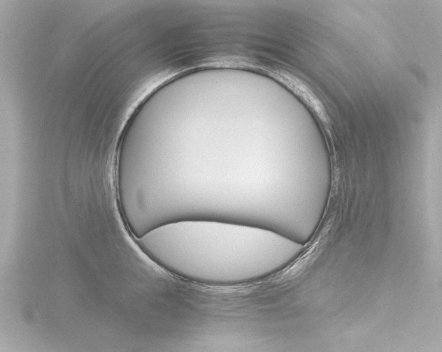 X0000116780855200912171309