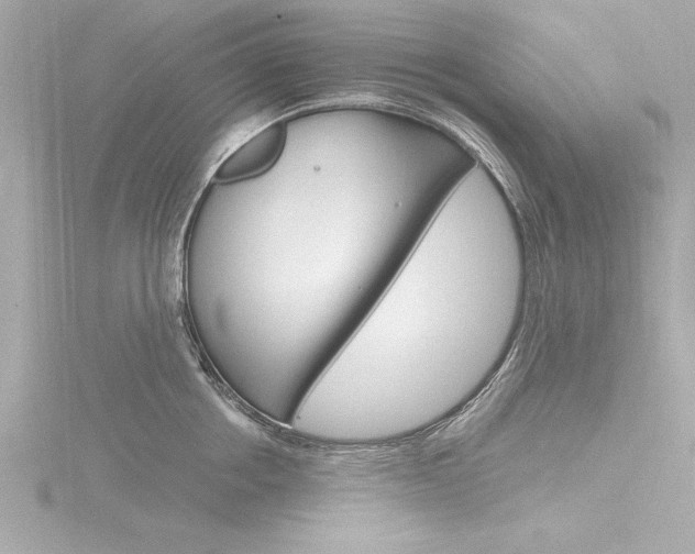 X0000116780858200912171309