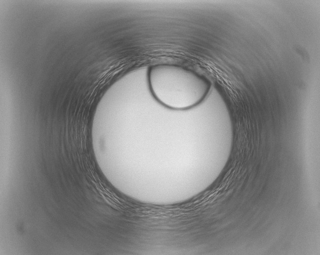 X0000116780868200912171308