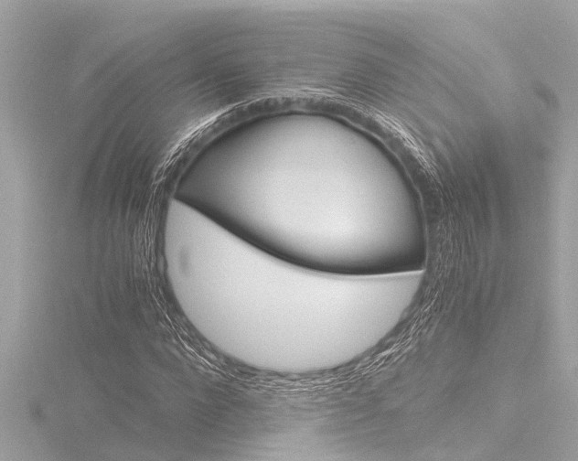 X0000116780872200912171308