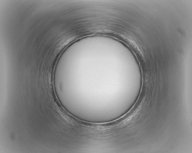X0000116780881200912171308