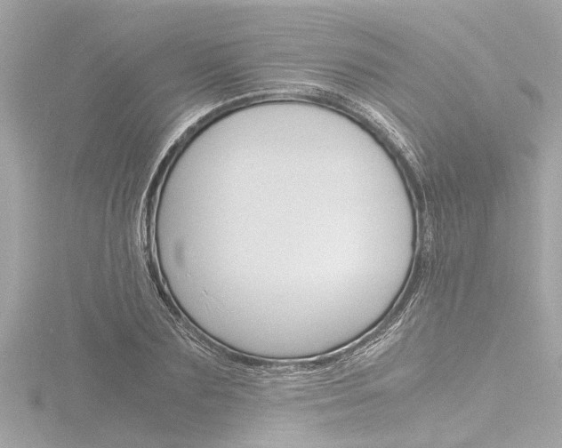 X0000116780883200912171308