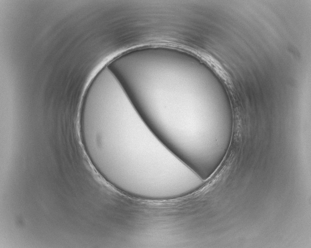 X0000116780904200912171308