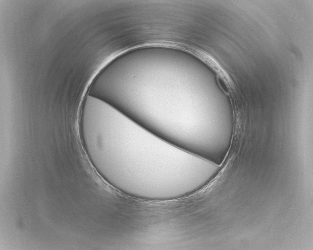 X0000116780908200912171308