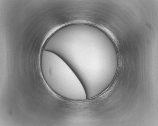 X0000116780910200912171308