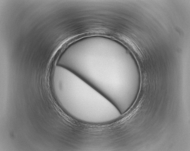 X0000116780923200912171307