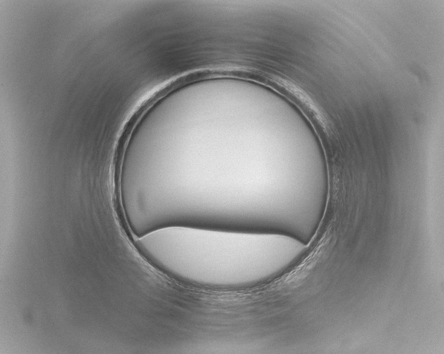 X0000116780935200912171307