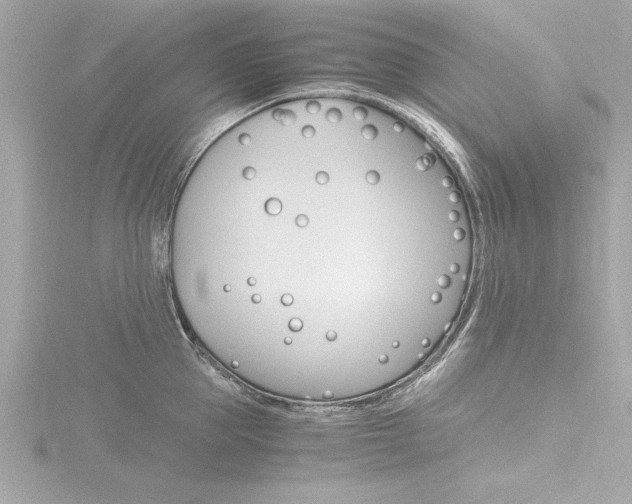 X0000116780953200912171307