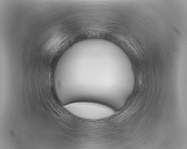 X0000116780964200912171307