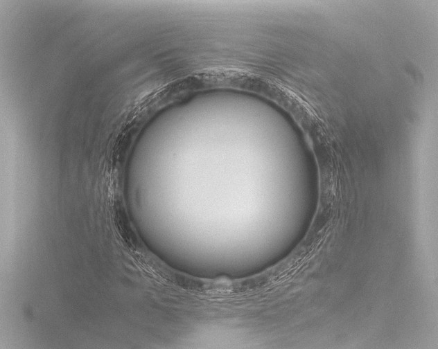 X0000116780965200912171307