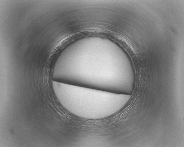 X0000116780968200912171307