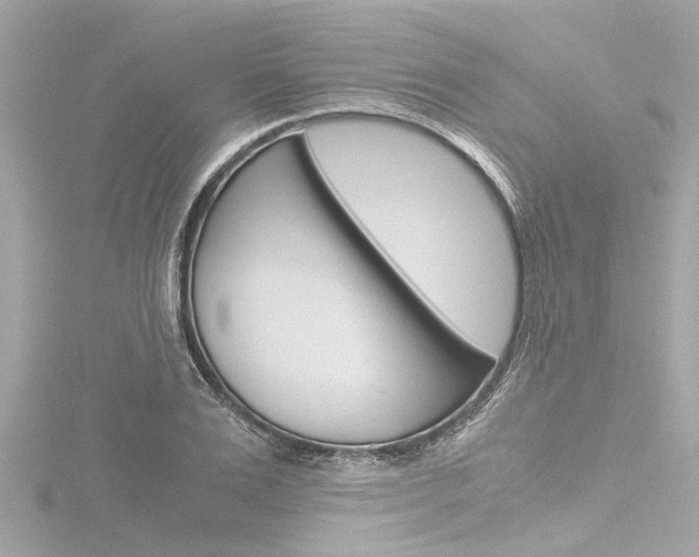 X0000116780983200912171306