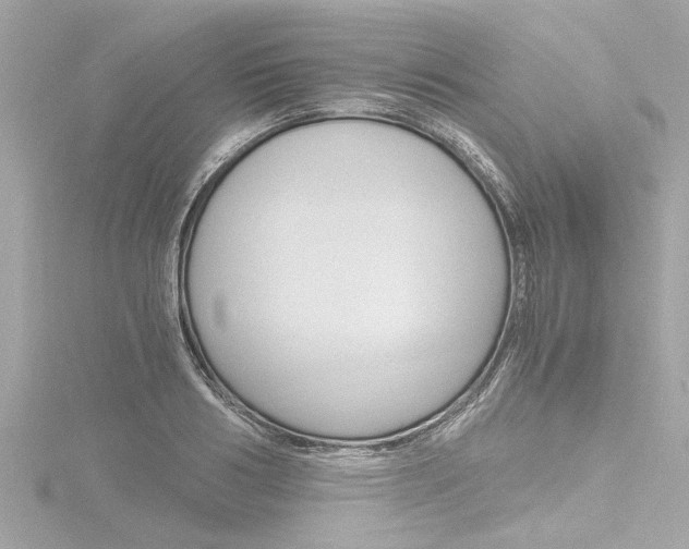 X0000116780986200912171306