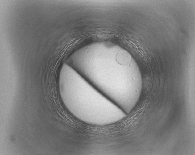 X0000116781009200912171305
