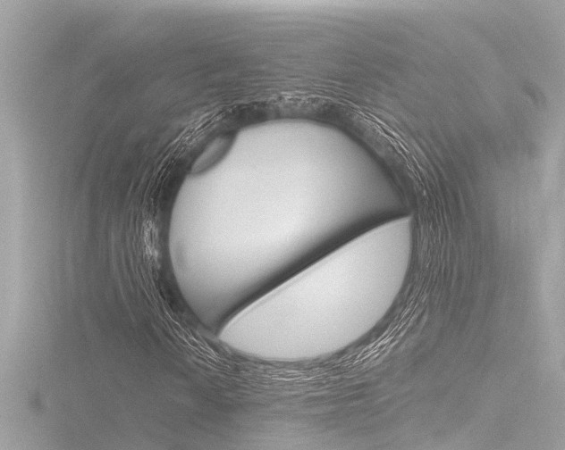 X0000116781010200912171305