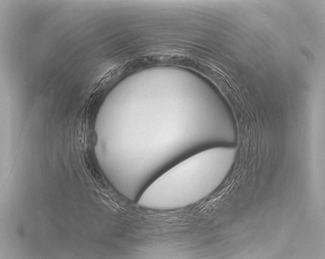 X0000116781014200912171306