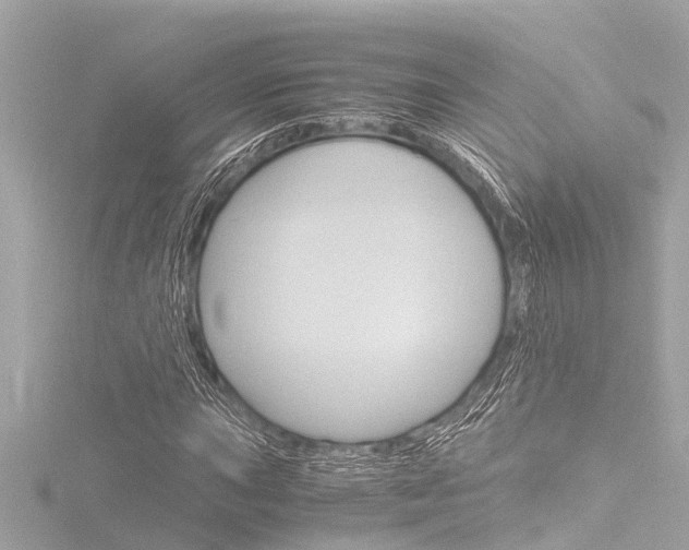 X0000116781015200912171306