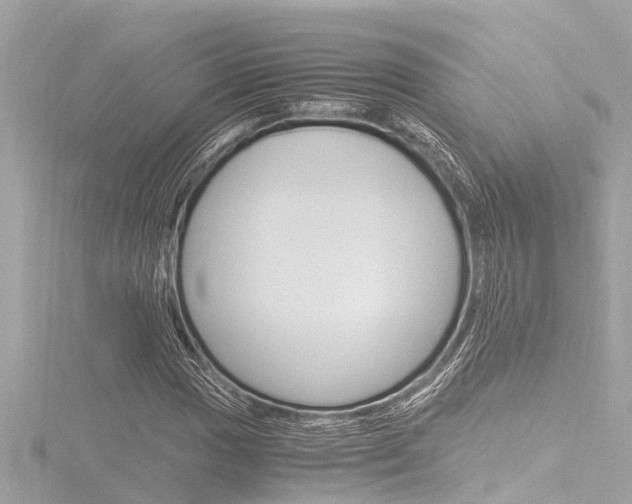 X0000116781017200912171306