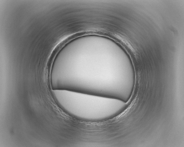 X0000116781021200912171306