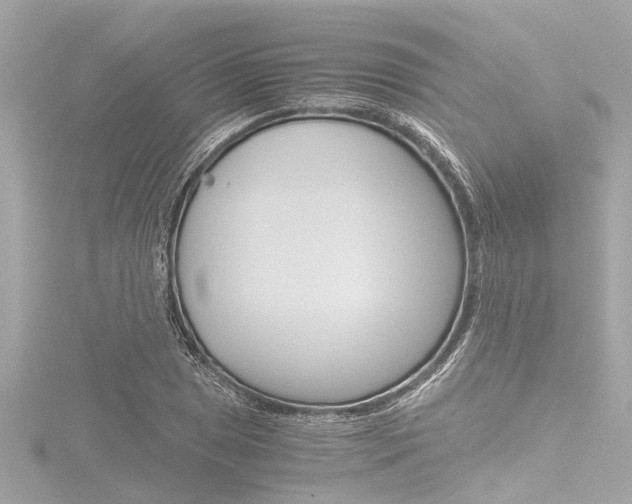 X0000116781025200912171306