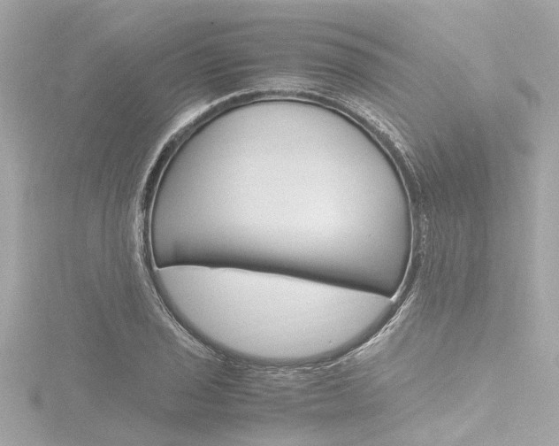 X0000116781029200912171306